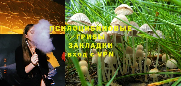 эйфоретик Кукмор