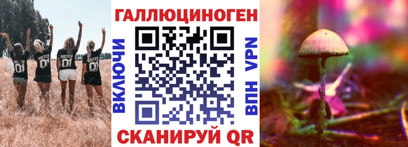 это как зайти  Тетюши  Галлюциногенные грибы Cubensis  сколько стоит 
